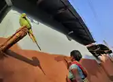 মাহিয়ার হাতে চাঁদ