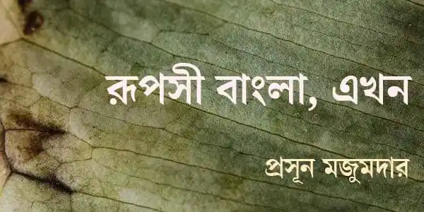 রূপসী বাংলা, এখন
