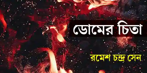 ডোমের চিতা