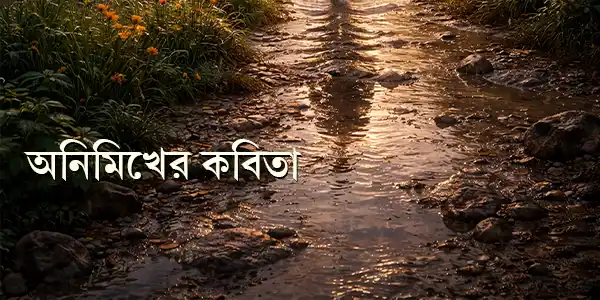 animikher-kabita-blogzine-poetry-animikh-patra