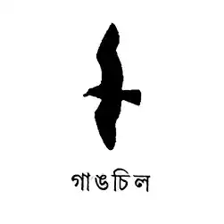 গাঙচিল