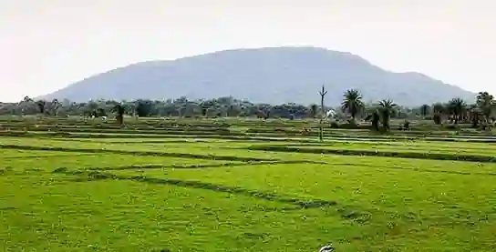 দূর থেকে শুশুনিয়া পাহাড়